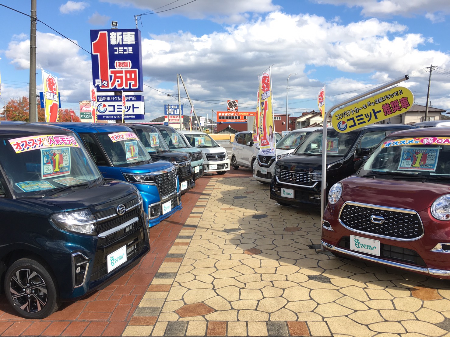 車の新しい乗り方 コアラクラブのユーカリプラン